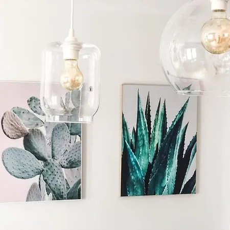Apartamento Cactus