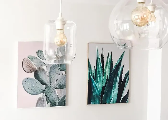 Apartment Cactus